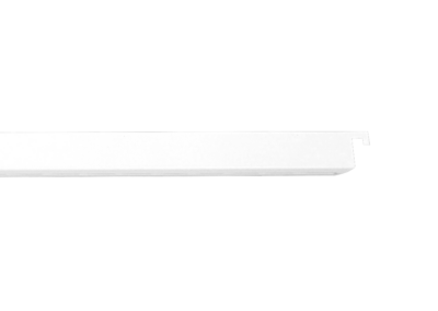 Display rail