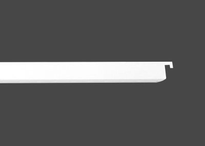 Display rail