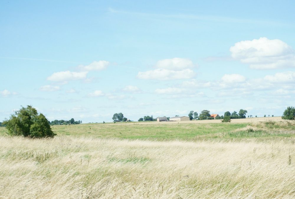 Egen produktion – en konkurrensfördel