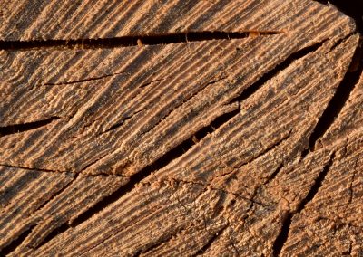 Hållbarhetstrenden speglas i detaljhandeln