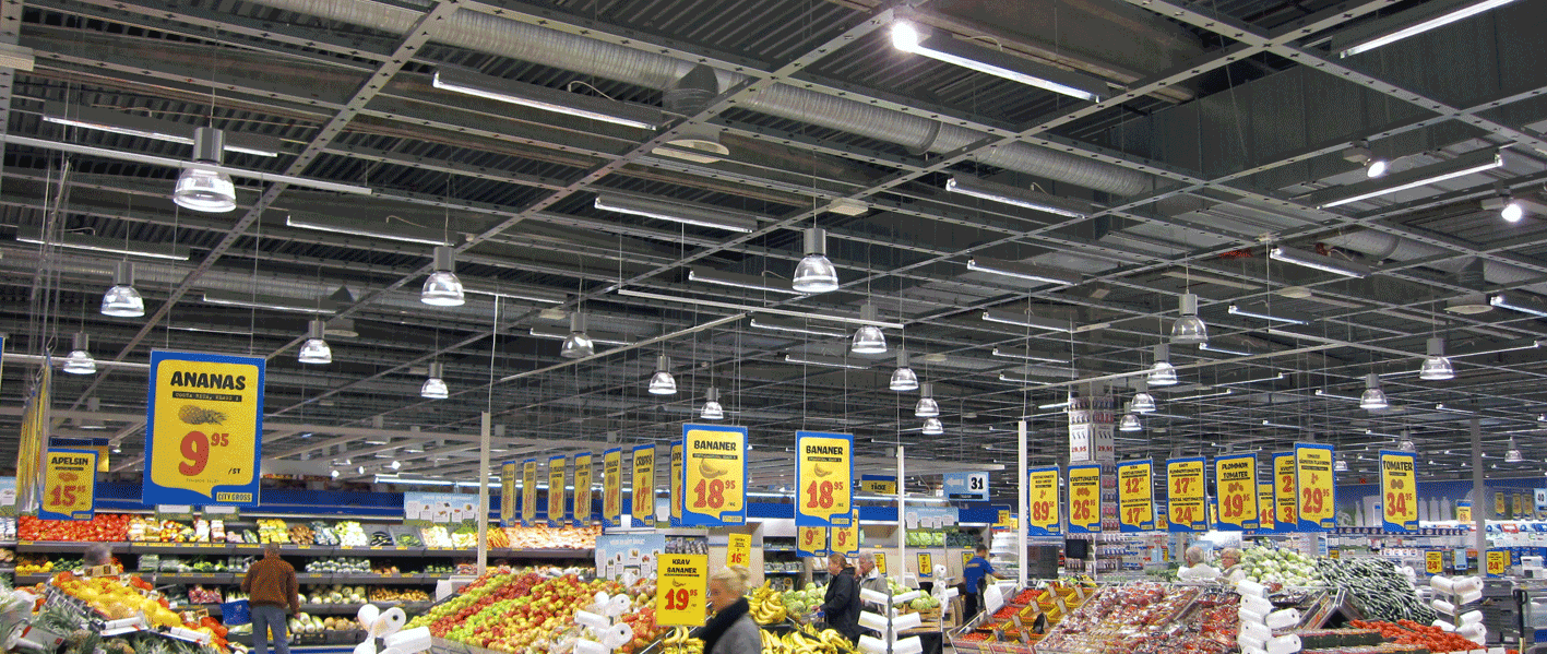 flexiline10 Tego- plantagen Malmö