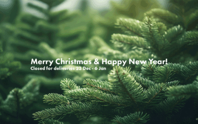 Merry Christmas & Happy New Year!